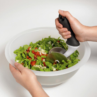 Salad Bowl & Chopper