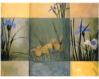Iris Squares