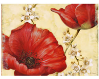 Poppy de Villeneuve